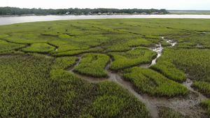 A marshy island formed of mud and marsh grass in the Crooked River in southeast Georgia.