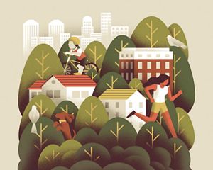 Grafico Poder curativo de los arboles