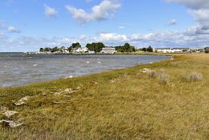 Houses sit in the distance behind a body of water and grassy field.
