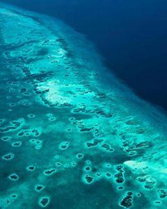 An aerial photograph features blue waters meeting with a reef and coastal area.