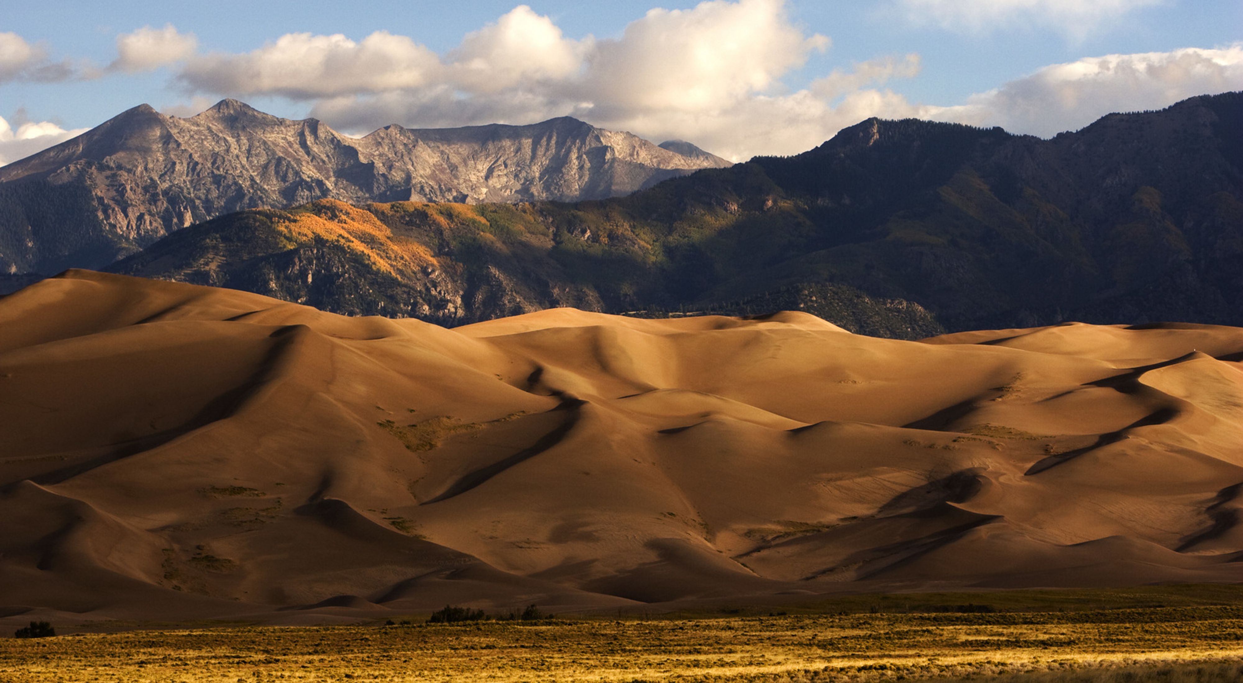 Golden sand dunes with mountains in the background.