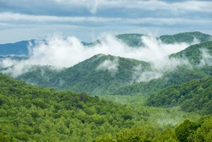 Thick mist rises from the deep valleys of rolling green mountain tops.