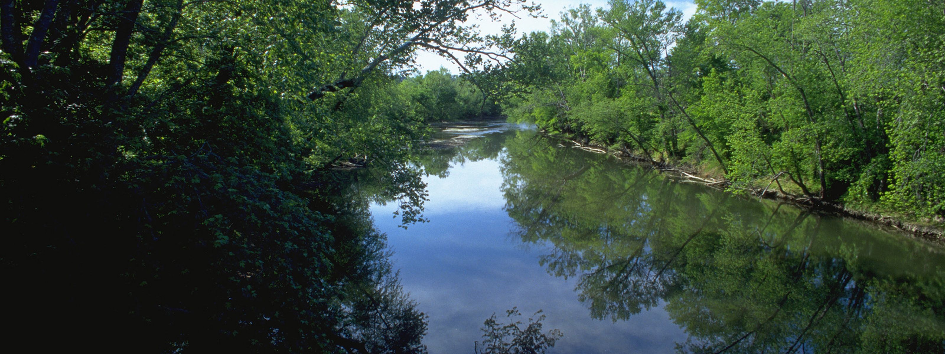 A river meanders through green shorelines.