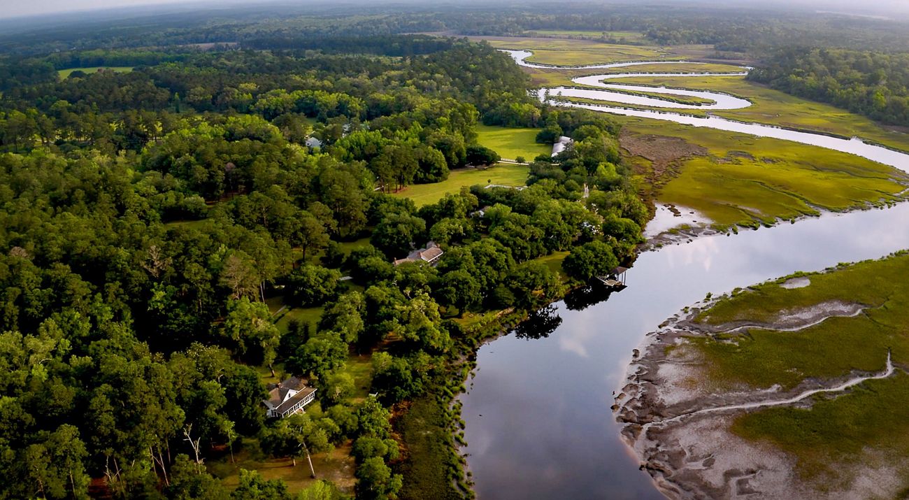 Calm waters wind through lush, green wetlands.