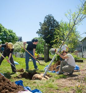 Two people hold shovels and one person holds a tree at a planting. 