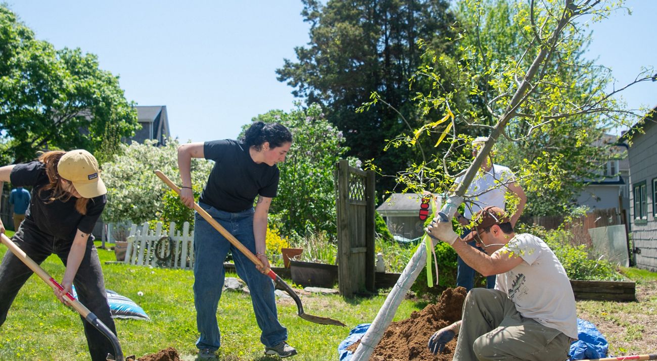 Groton Tree Inventory The Nature Conservancy plants 40 trees in Groton.