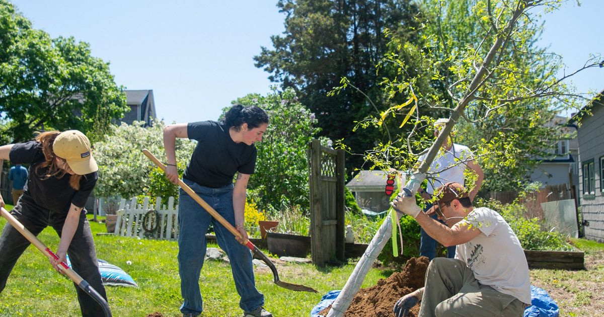 Groton Tree Inventory The Nature Conservancy plants 40 trees in Groton.