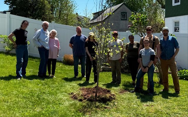 Groton Tree Inventory The Nature Conservancy plants 40 trees in Groton.
