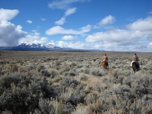 A few people are riding horses on sagebrush land.