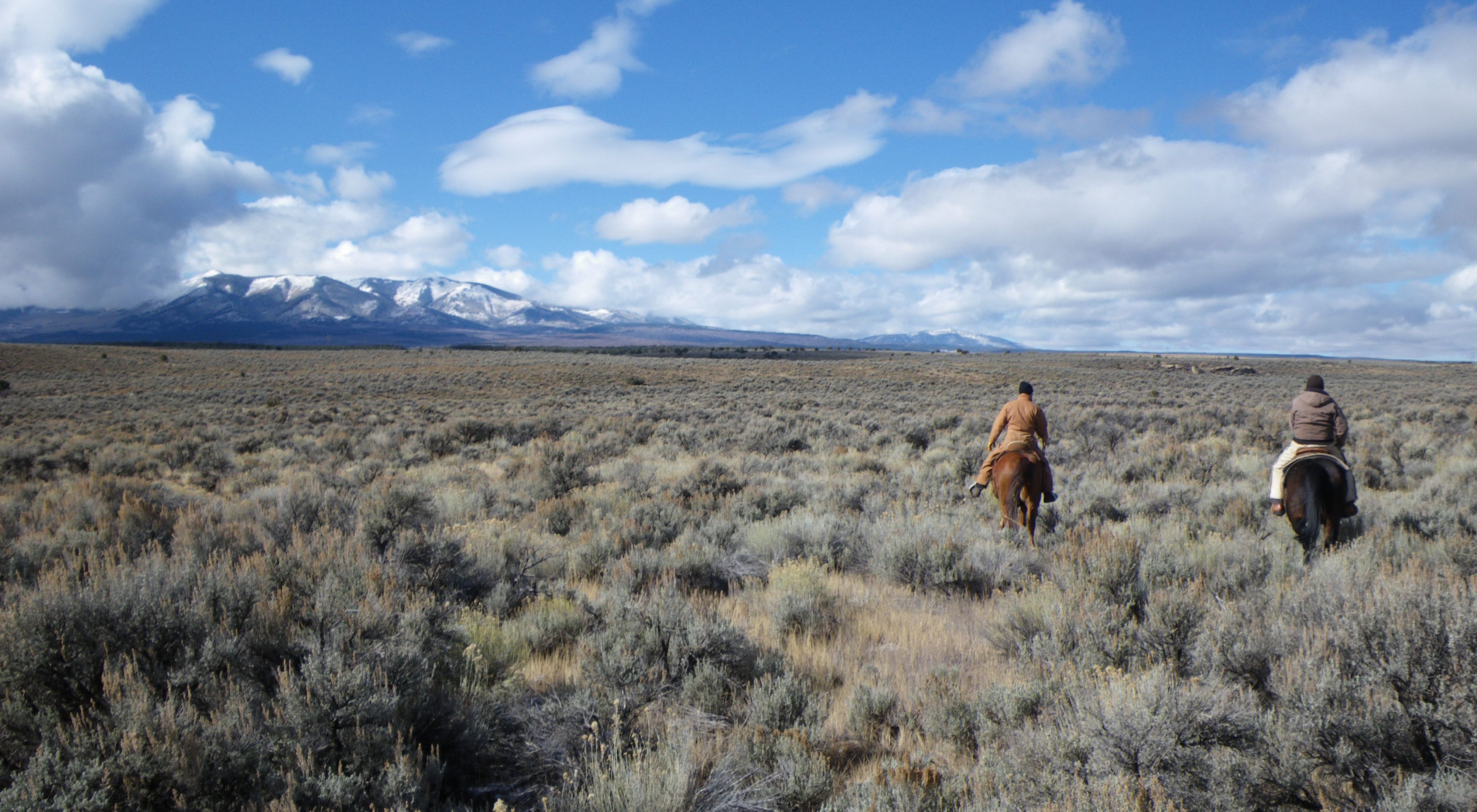 View of protected critical habitat for the Gunnison sage-grouse.