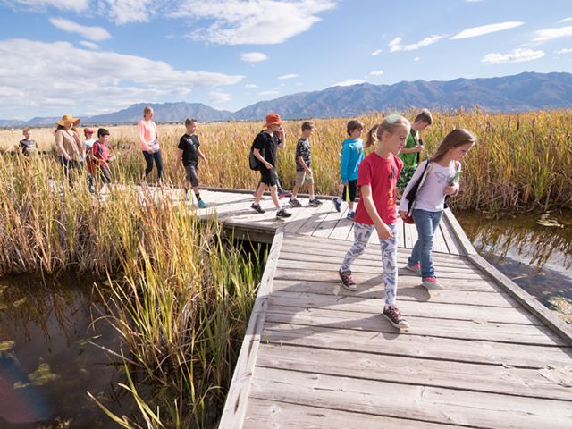 Children walk along a boardwalk while looking at the grass growing out of a wetland. 