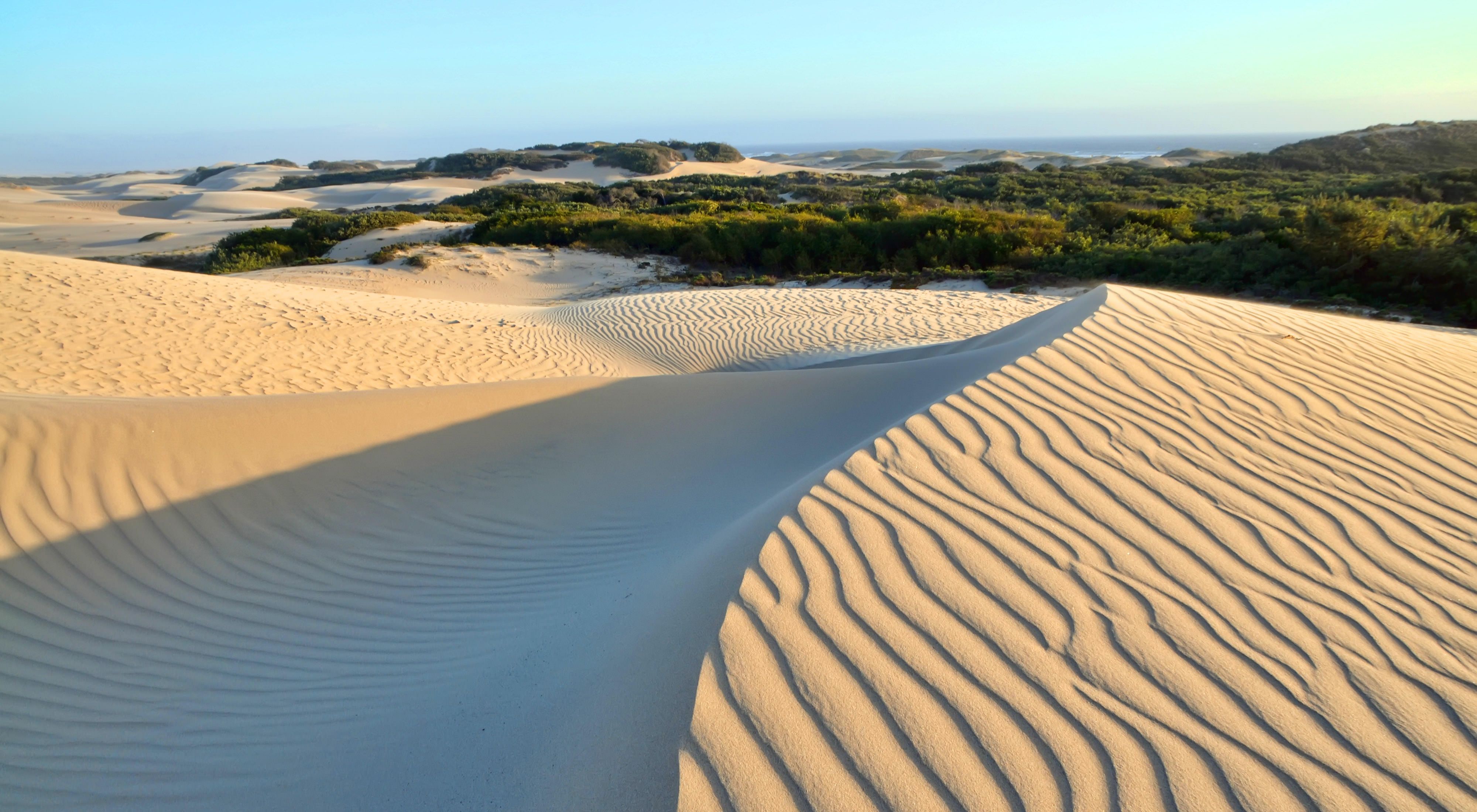 Guadalupe-Nipomo Dunes on the central coast of California