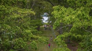 An aerial view features people walking along a trail in Mashomack. 