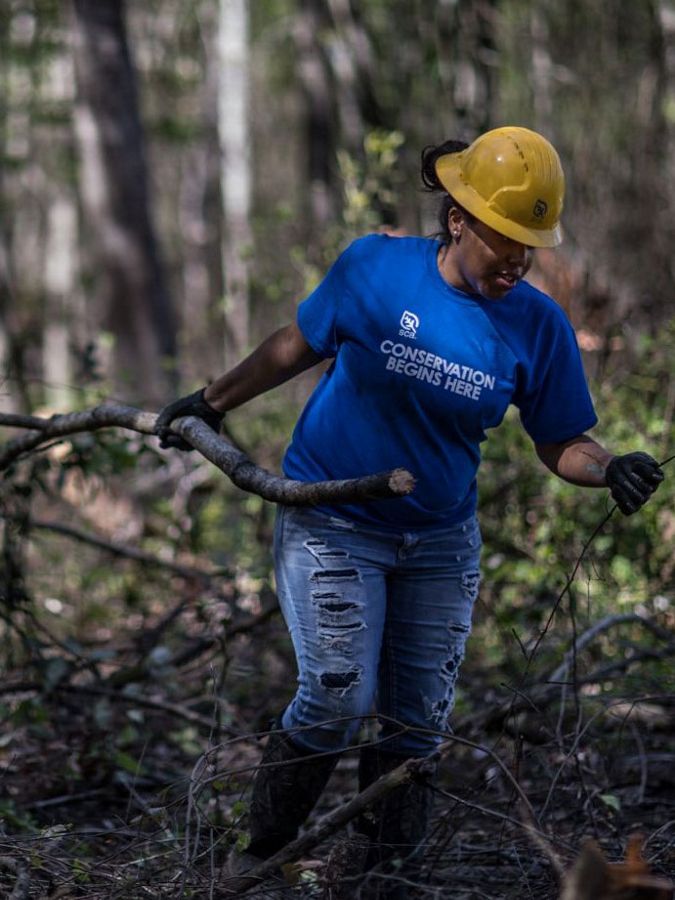A young woman in a hard hat clears branches in forest.