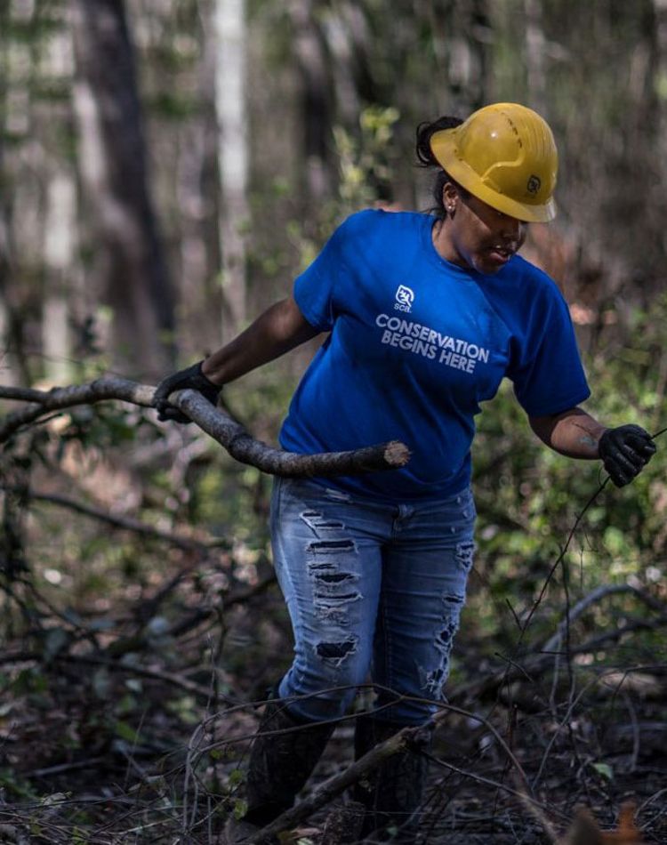 A young woman in a hard hat clears branches in forest.