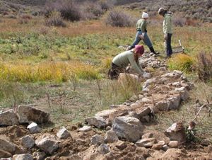 Wet meadow restoration