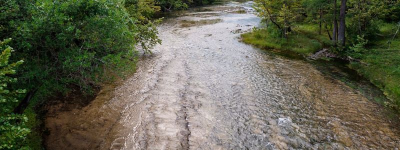 A clear river with a rocky bottom lined with green trees and brush.