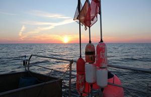 A view of the sun rising over an expanse of water as seen from a fishing vessel.
