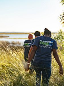 Three young people seen from behind, walking in marsh.
