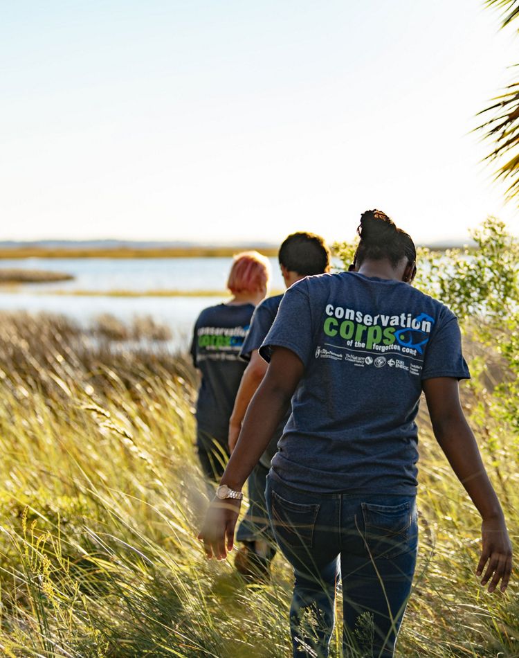 Three young people seen from behind, walking in marsh.
