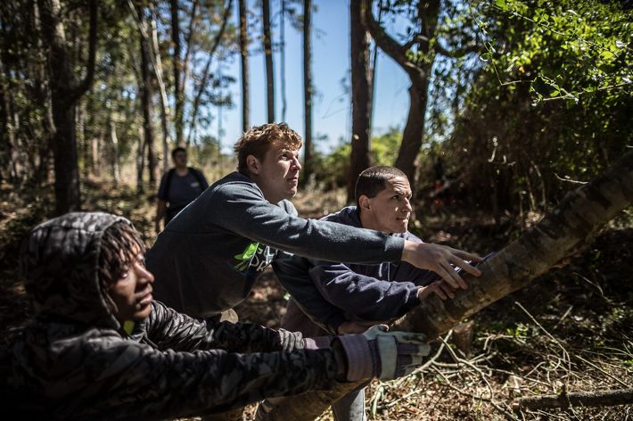 Members of Florida’s GulfCorps crew work to restore important coastal habitat along the Gulf Coast.