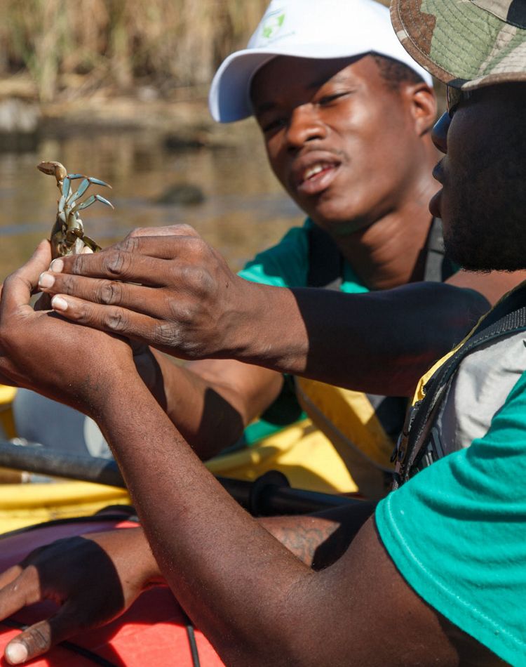 Two young men in kayaks looking at a crab.