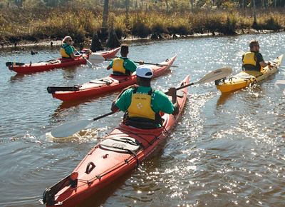 Team of conservationists in kayaks floating along the Mississippi coastline as they conduct work in the field.