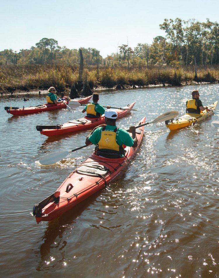 A group of kayakers.