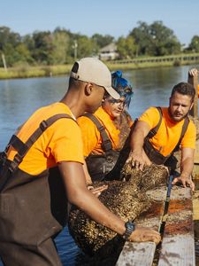Three young people in waders restoring a shoreline.