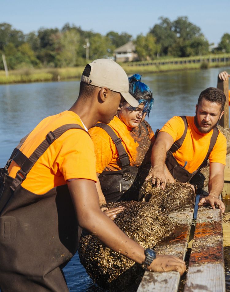 Three young people in waders restoring a shoreline.