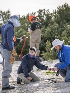 Three people working on a beach.
