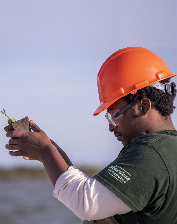 A crew member in a hard hat holds up a seedling.