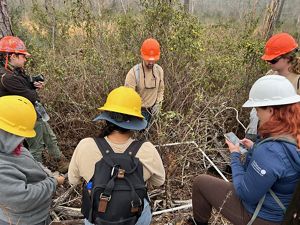 Six people wearing hard hats study wildlife contained in a square block.