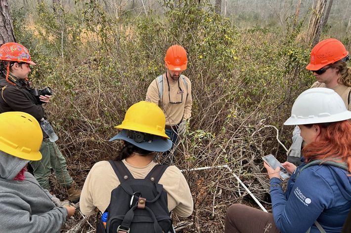Six people wearing hard hats study wildlife contained in a square block.