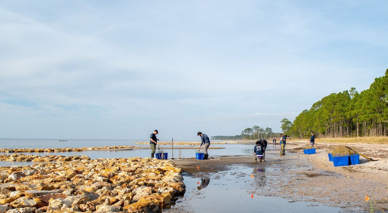 A gorup of people work along sandy beach.