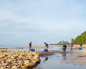 Three people work with their hands on a coastal sand bar.