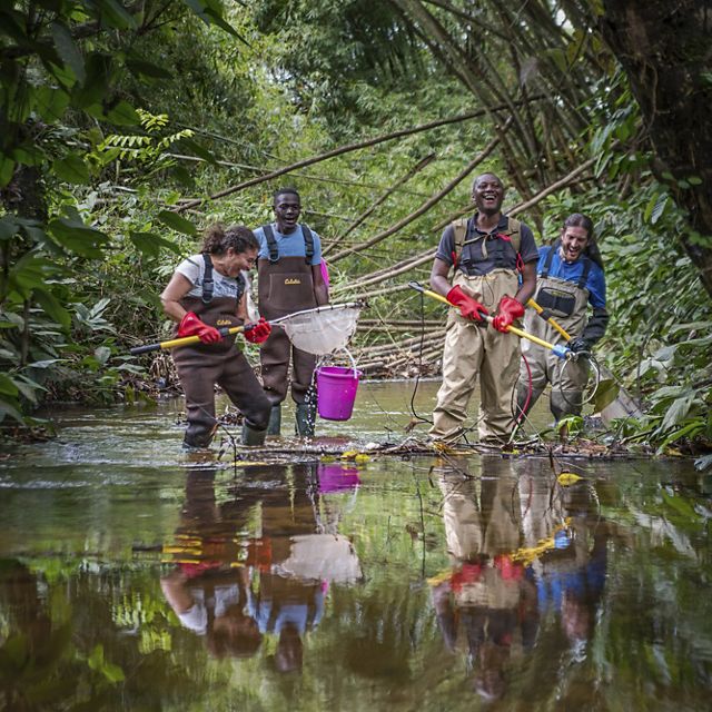 A group of scientists working in a river.