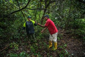 Blanca Raquel aisla las áreas de pastoreo de los bosques instalando cercas eléctricas y así evitar que sus vacas traspasen los ecosistemas sanos de su finca.