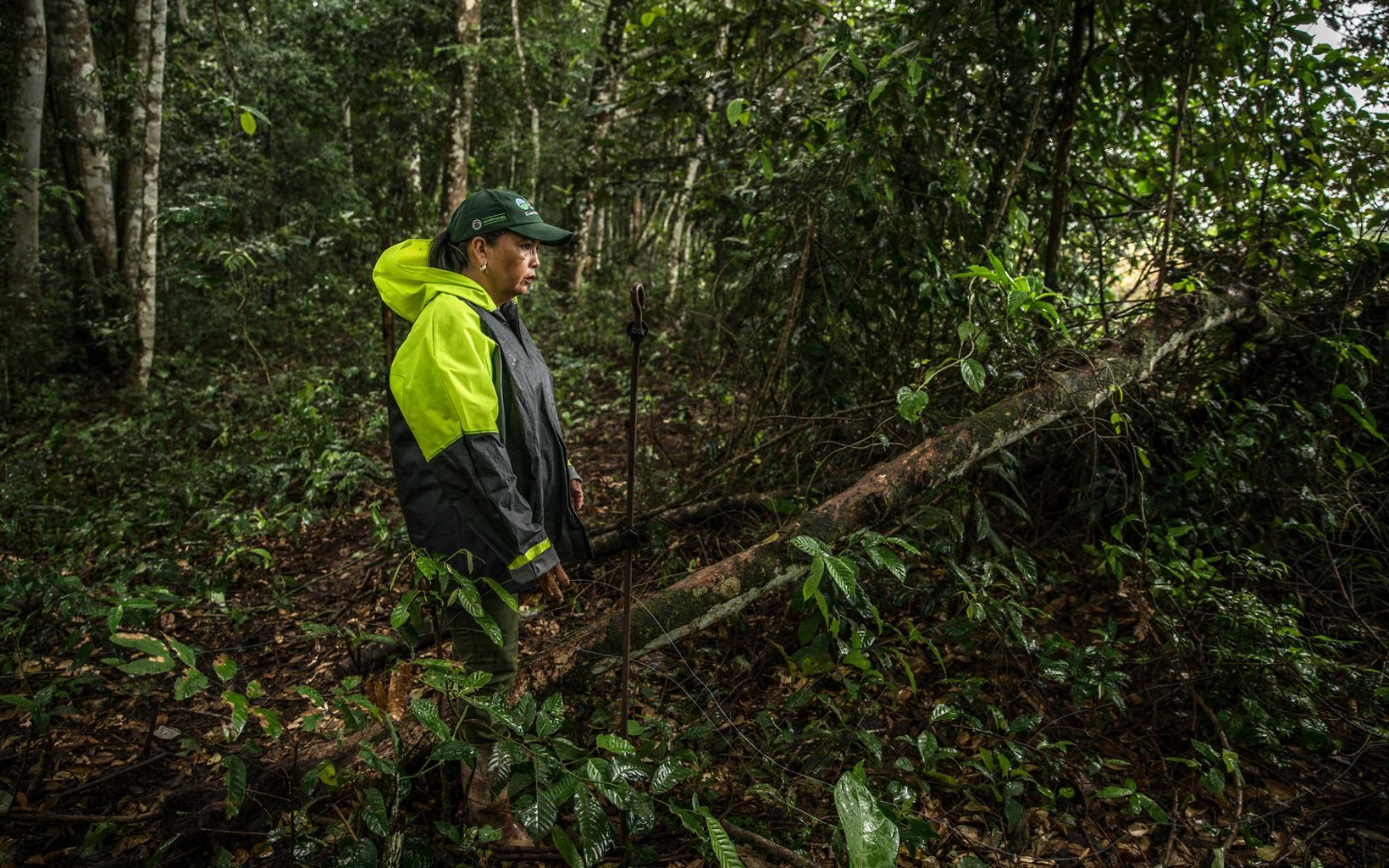 Bosque y productividad Blanca tiene claro que proteger su bosque la ayuda a ella, a sus animales y a la vida que ahí existe. © TNC Colombia