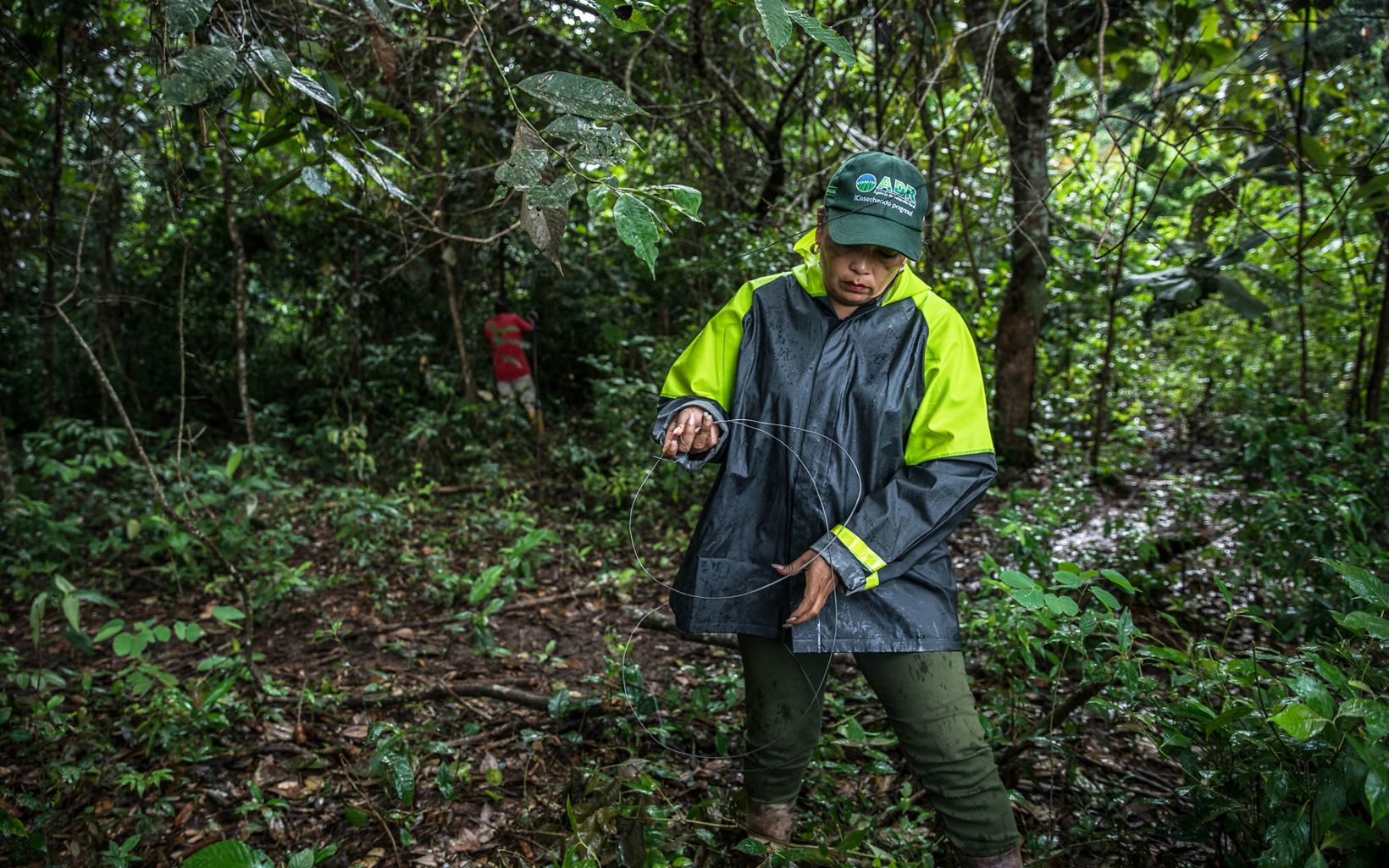 Blanca Raquel instala cercas La ganadera instala sus propias divisiones para evitar que su ganado se meta al bosque conservado justo dentro de su predio. © TNC Colombia