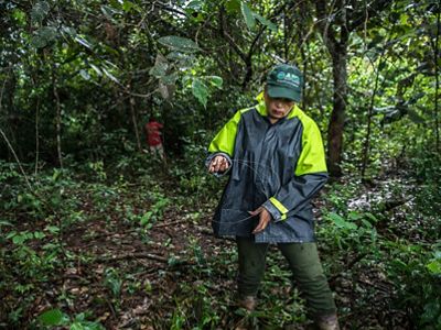 La ganadera instala sus propias divisiones para evitar que su ganado se meta al bosque conservado justo dentro de su predio.