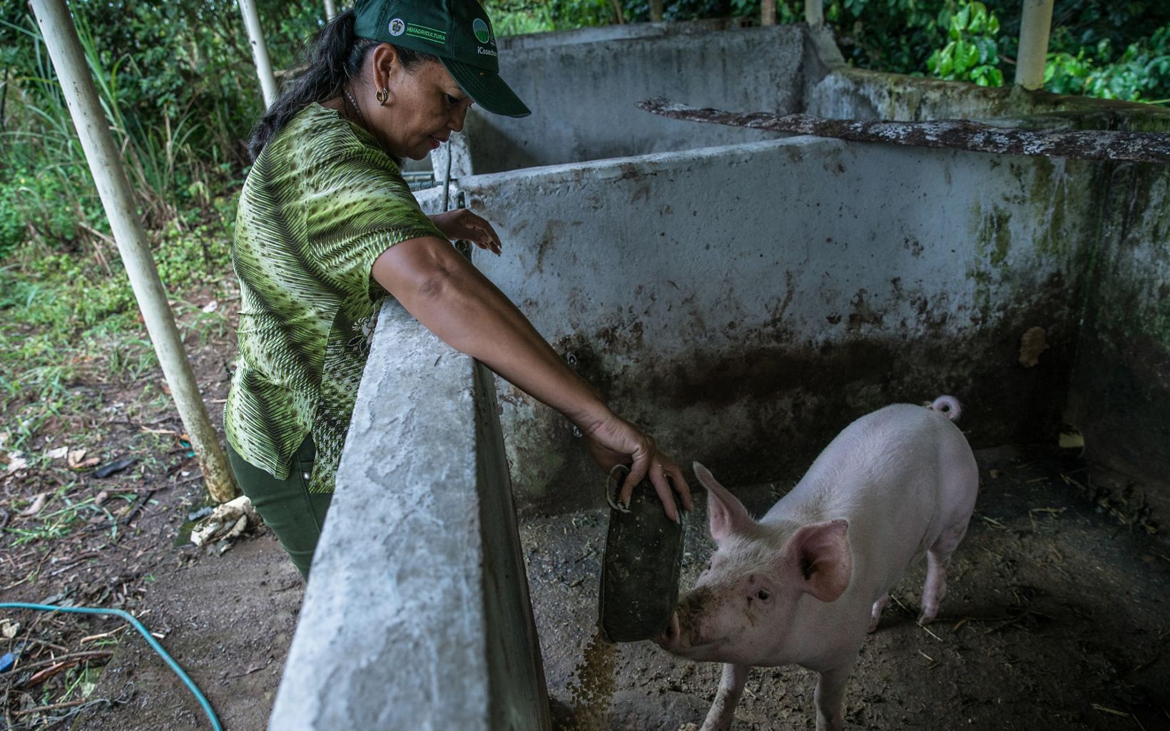 Productividad mejorada Proteger los ecosistemas garantiza mejor alimento para el ganado, menos plagas y reducción de emisiones de gases de efecto invernadero. © TNC Colombia