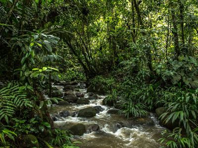 Blanca Raquel tiene muy claro que proteger la naturaleza es el mejor negocio posible, y que es una buena alternativa a largo plazo para los productores de escasos recursos.
