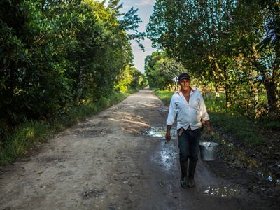 Para Edilson, el cambio llegó cuando notó que producir y reforestar pueden ir de la mano, y que además reducir sus impactos le puede traer hasta el doble de productividad.