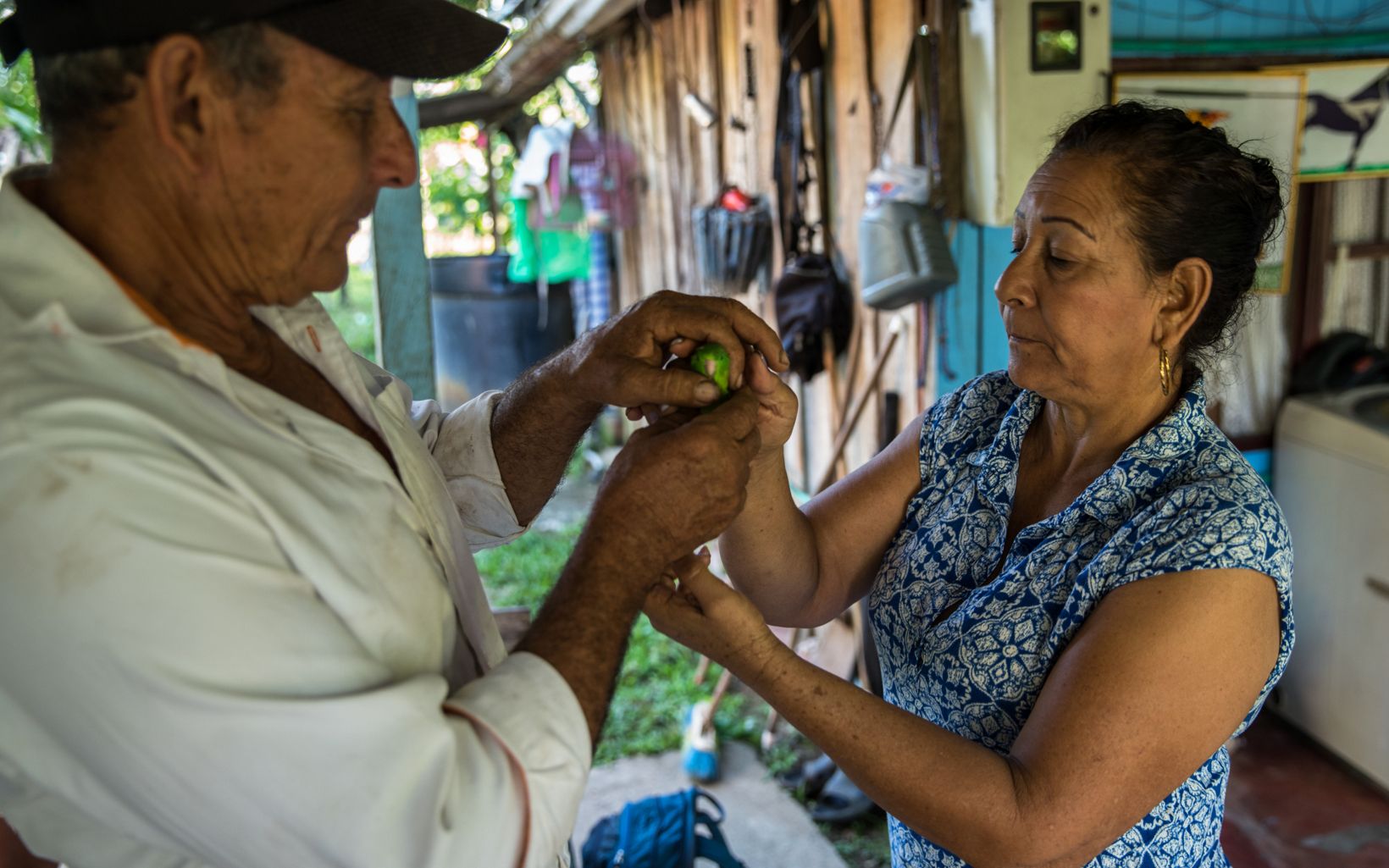 Familias colombianas Más de 4000 familias beneficiadas por la asistencia técnica del proyecto GCS son como la de Edilson y Rosalba, para quienes la naturaleza tiene un nuevo valor. © TNC Colombia