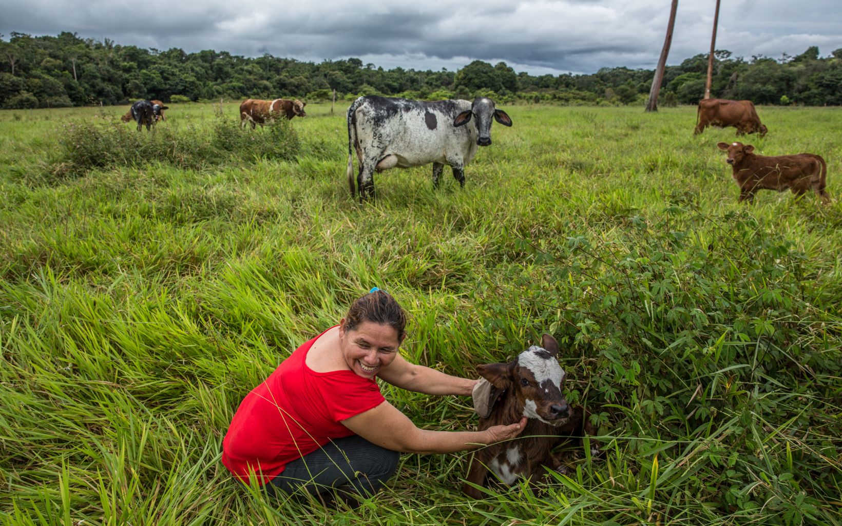 
                
                  Conociendo el paisaje Mercedes ve las conexiones que la unen con su bosque conservado, con sus animales, que le dan de comer, y con su tierra, y espera protegerlo toda la vida.
                  © TNC Colombia
                
              
