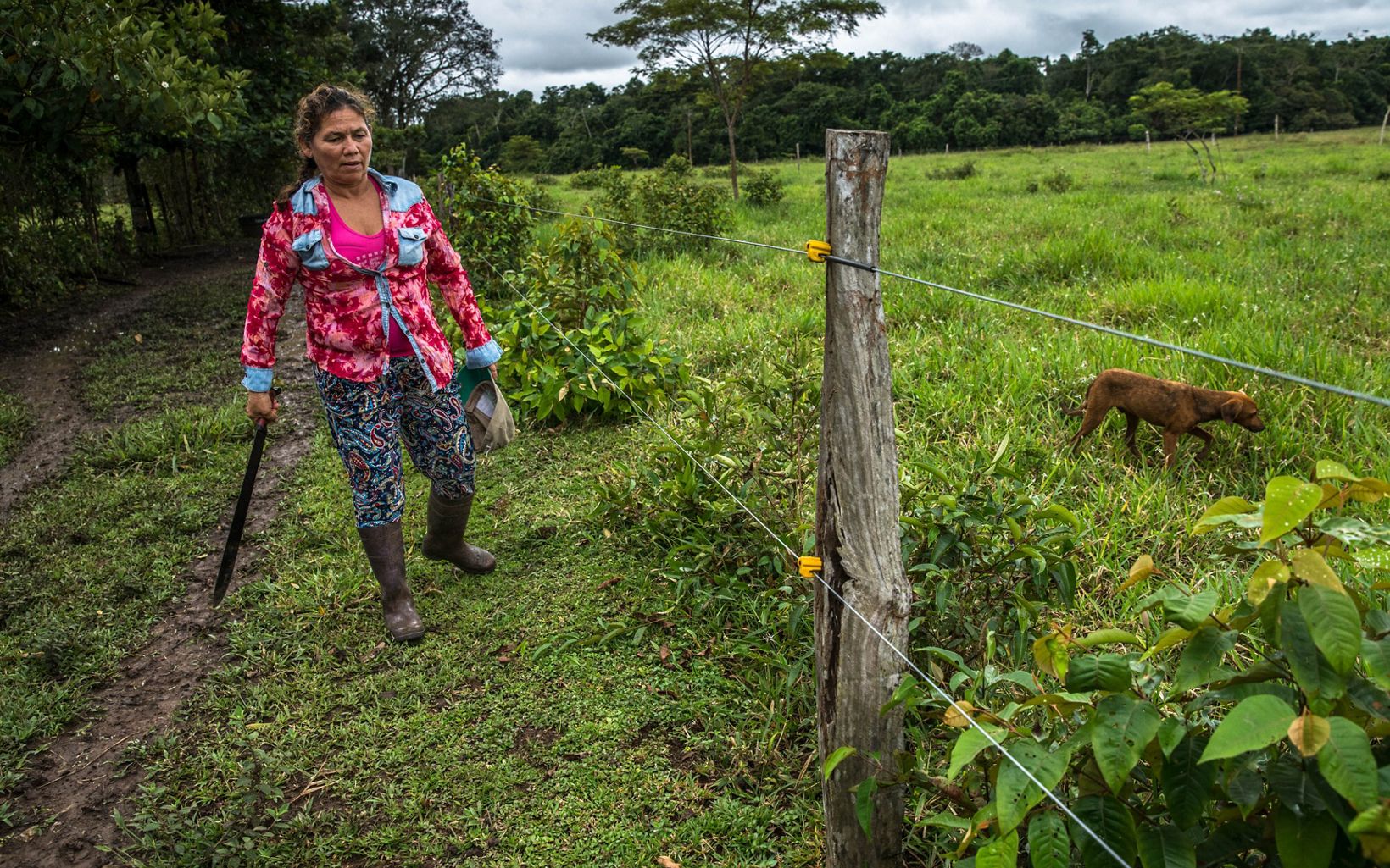 Usos responsables de la tierra Manejar mejor los suelos evita la deforestación y trae diversidad de recursos adicionales a familias de escasos recursos, como la de Mercedes © TNC Colombia