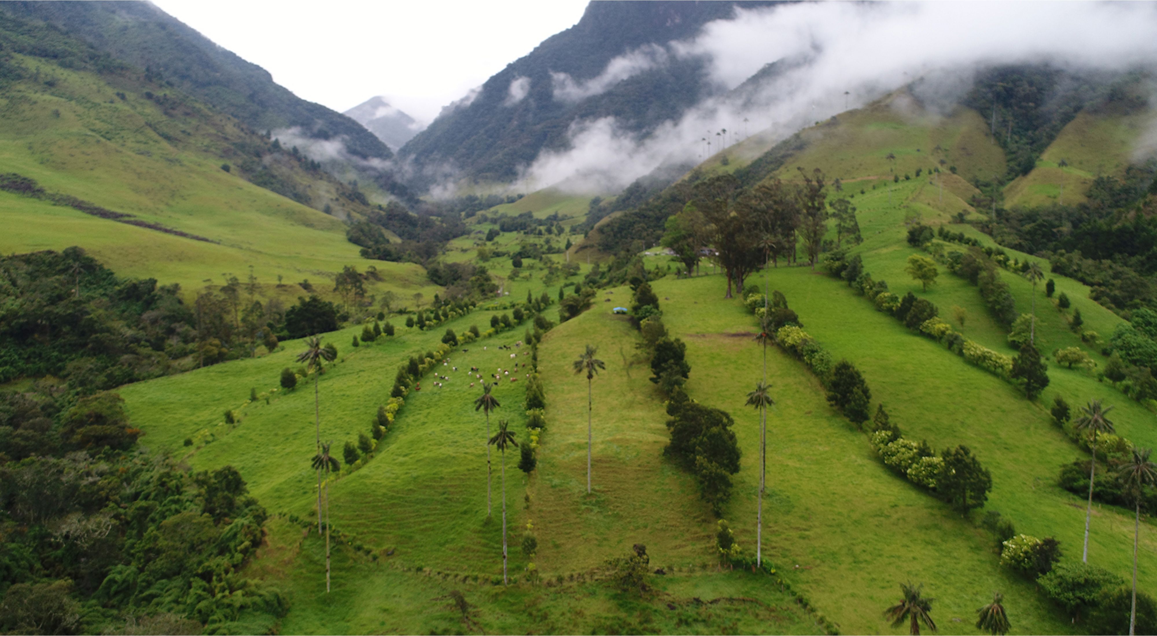 Estándar Fe ciega componente Herramientas para paisajes sostenibles ganadería en Colombia