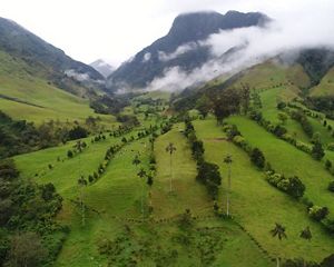 Este predio ganadero en Quindío, Colombia, divide sus áreas con cercas vivas, planificando el suelo que aprovechará de manera responsable. Imagen de dron de monitoreo.