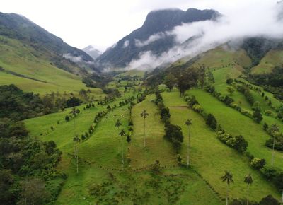 mountains